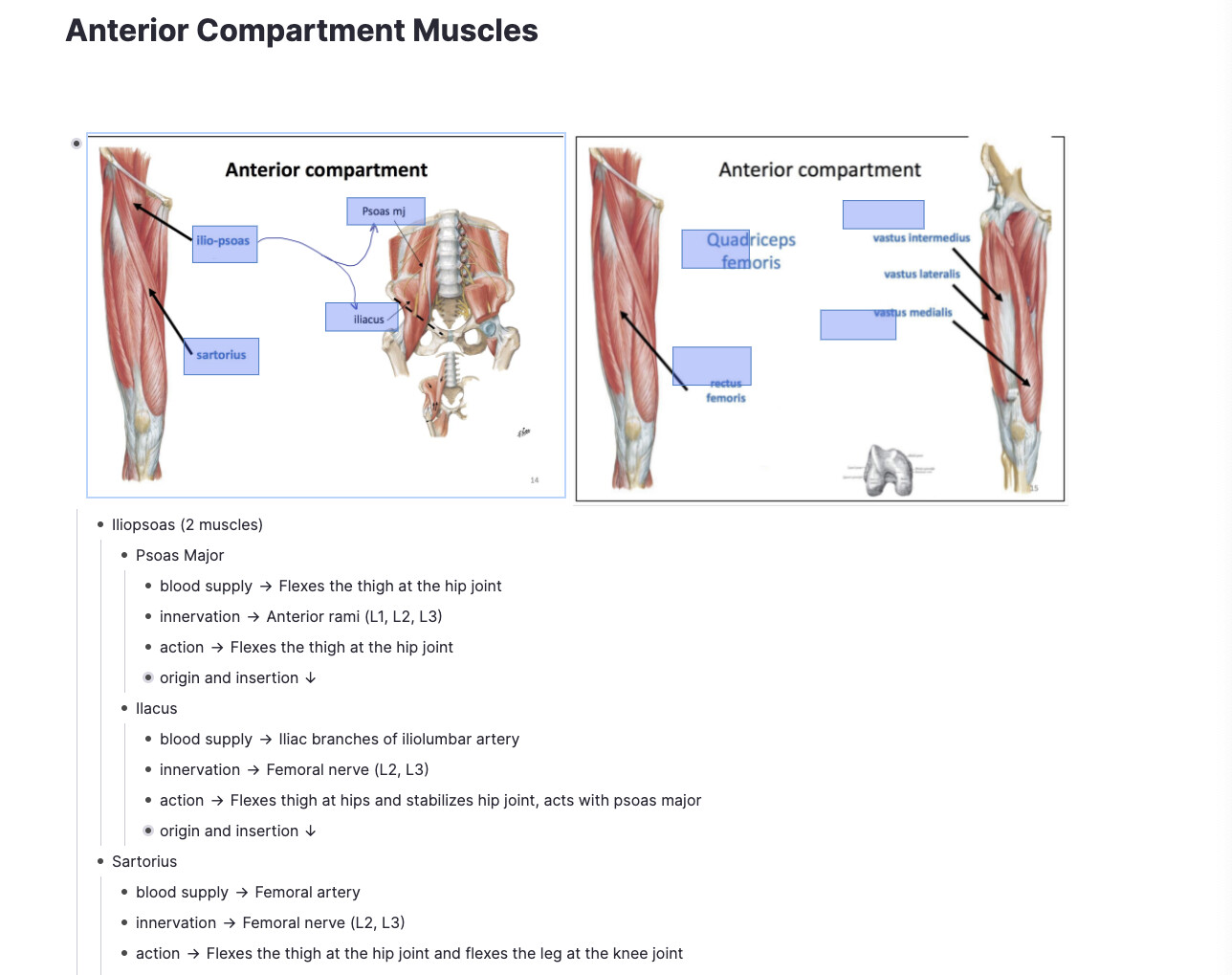 Flashcards from Images as one of the features for RemNote