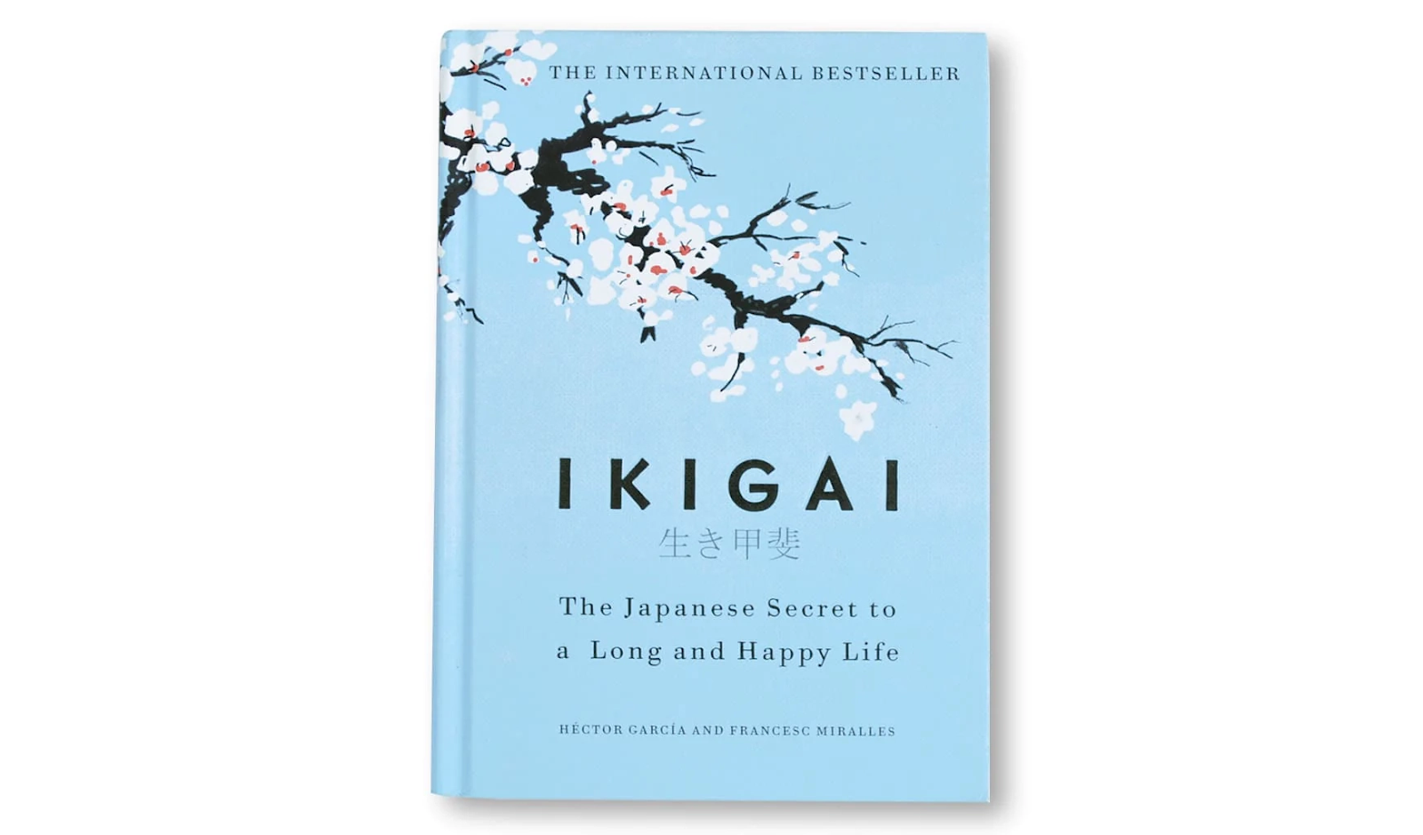 Ikigai - a book that helped me commit to remote marketing jobs
