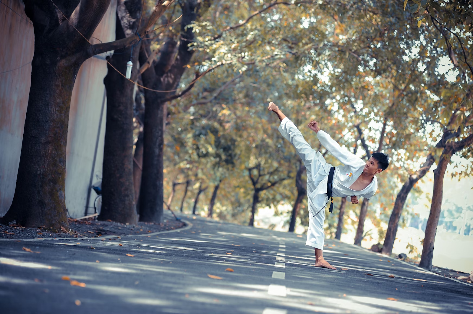 Balance and Coordination - Martial Arts