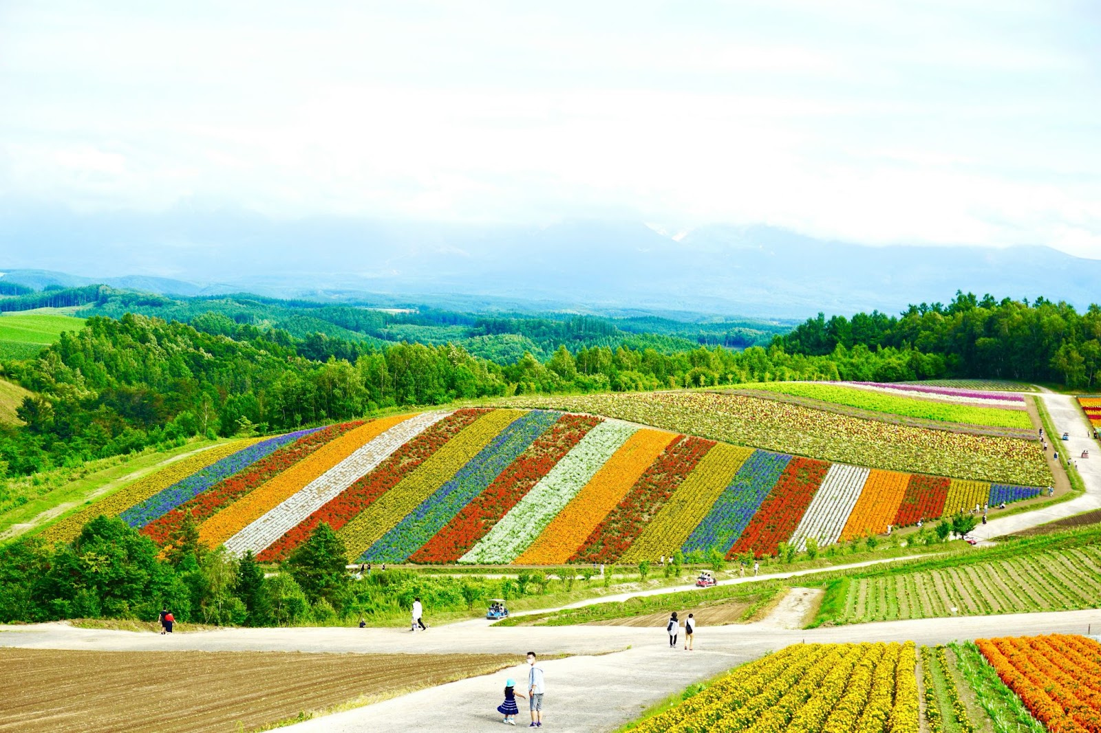 Insula Hokkaido, Japonia: