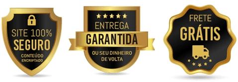 entrega_garantida_480x480_03c032c3-85fe-497f-90a7-62f50c26aa8d_480x480.png?v=1623762884