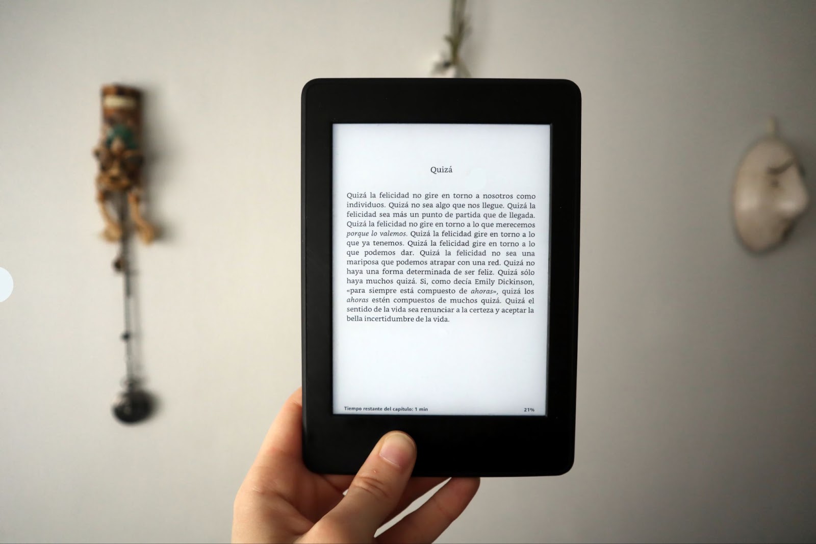 Cum alegi corect un ebook reader?