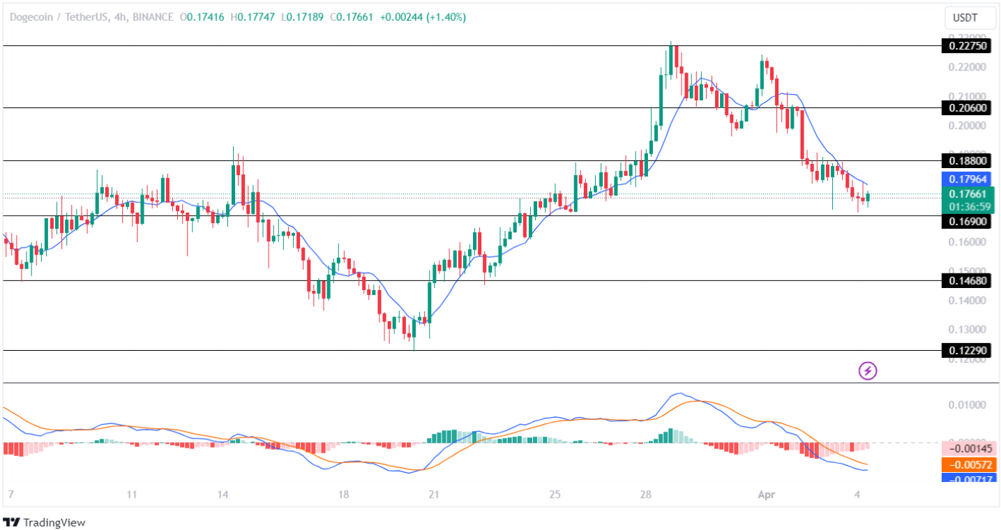 DOGE Price Analysis