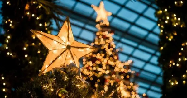 star lights for christmas tree