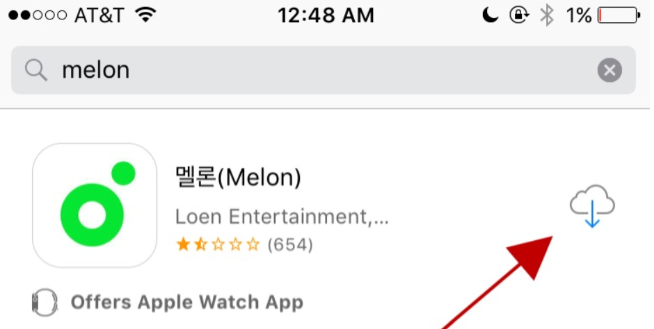 Installing Melon App on IOS