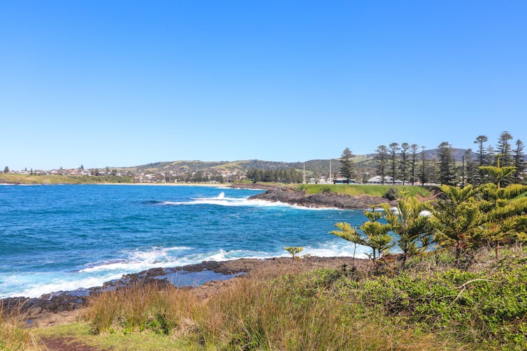 Waves breaking on a beach with pine trees.