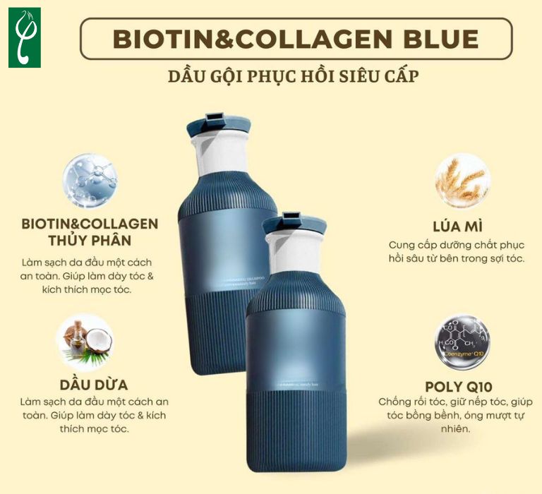 Sản xuất dầu gội đầu collagen giúp doanh nghiệp sở hữu sản phẩm chất lượng 