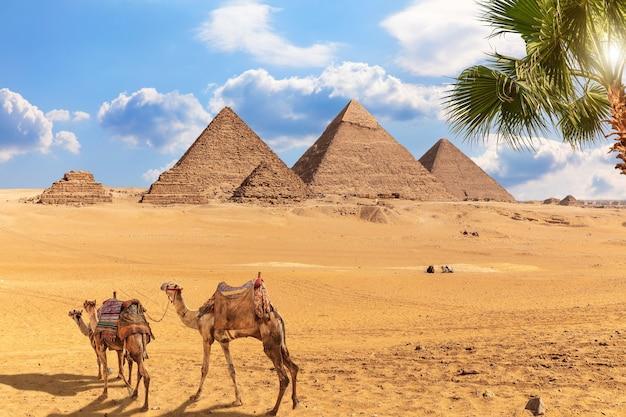 20 consigli pratici per il tuo viaggio in Egitto