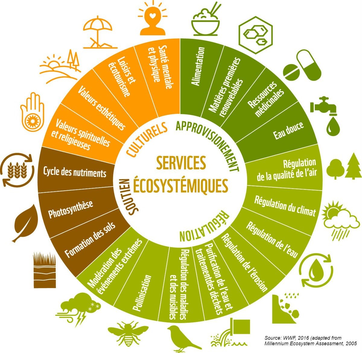 roue des services écosystémiques