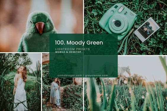 Công thức chỉnh màu Lightroom tone xanh lá cây