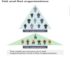 Organisation Structure and Employee 