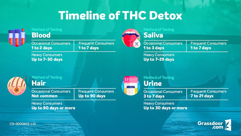 How long does it take to detox from THC