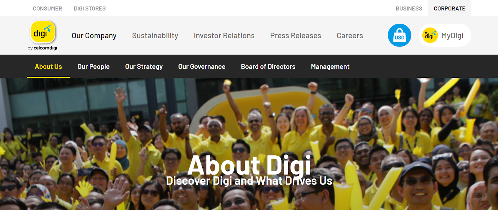 Digi website snapshot highlighting the services it offers.