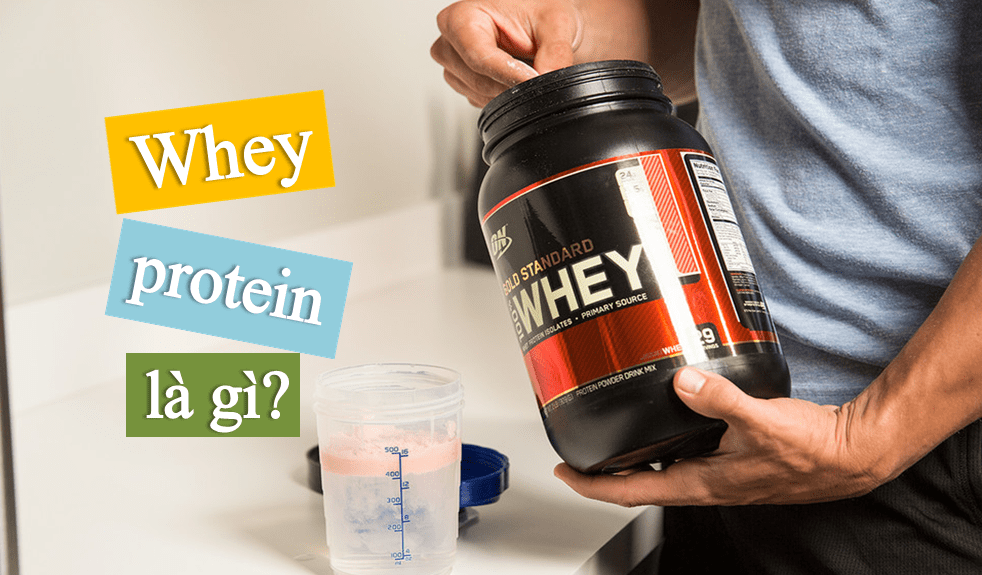 Bạn có biết whey protein là gì không?