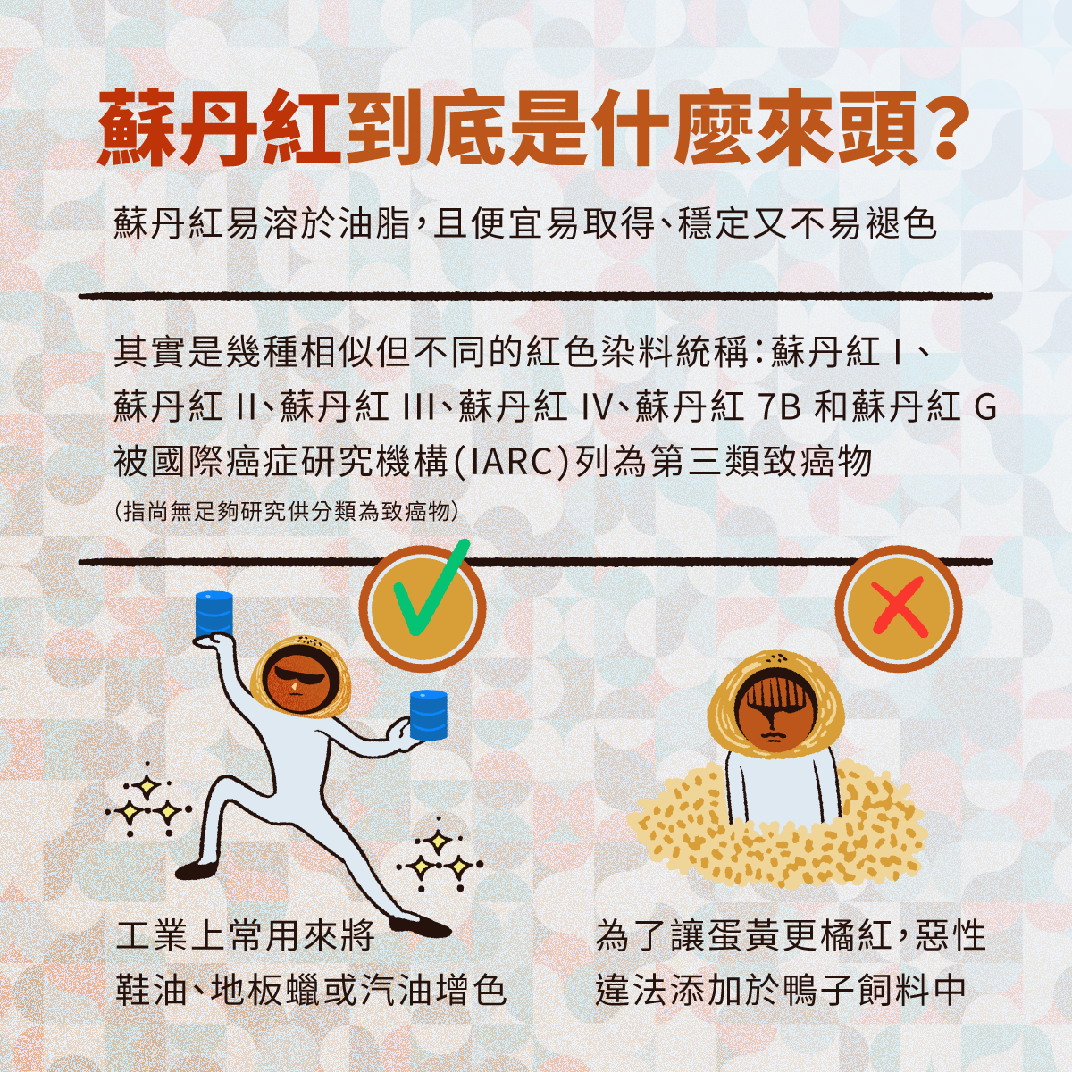 叮咚News｜分享新奇與樂趣