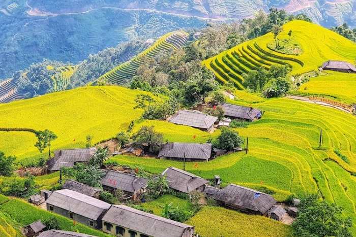 Visit Phung village, best place to see rice terraces Hoang Su Phi Ha Giang, Vietnam