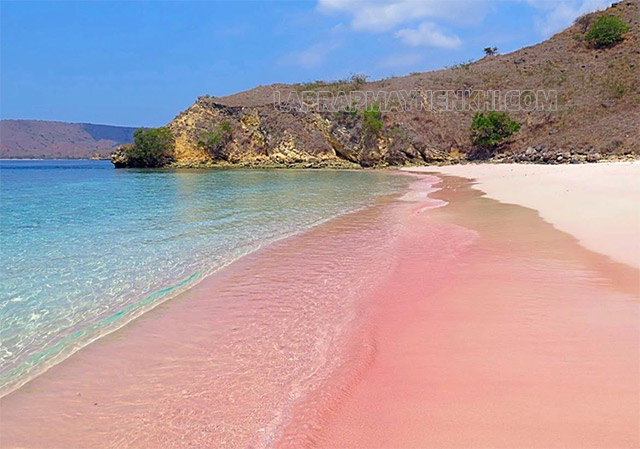 Đảo rồng Komodo với bãi biển màu hồng đặc trưng