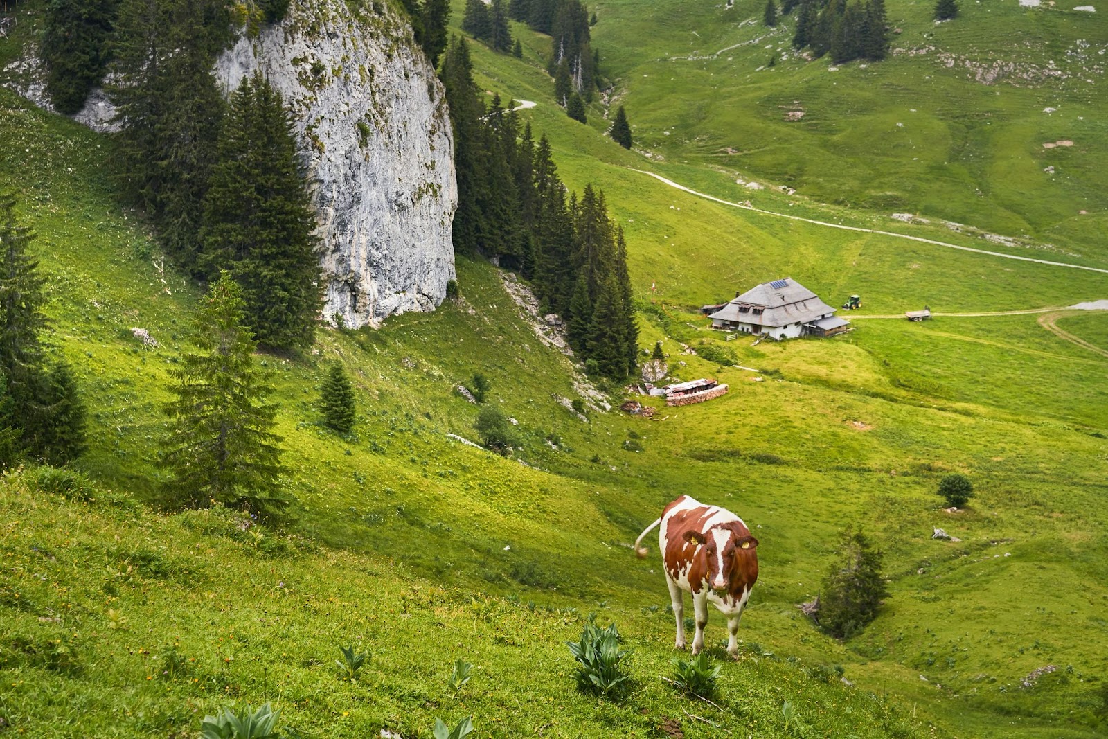 I più bei centri urbani della Transilvania