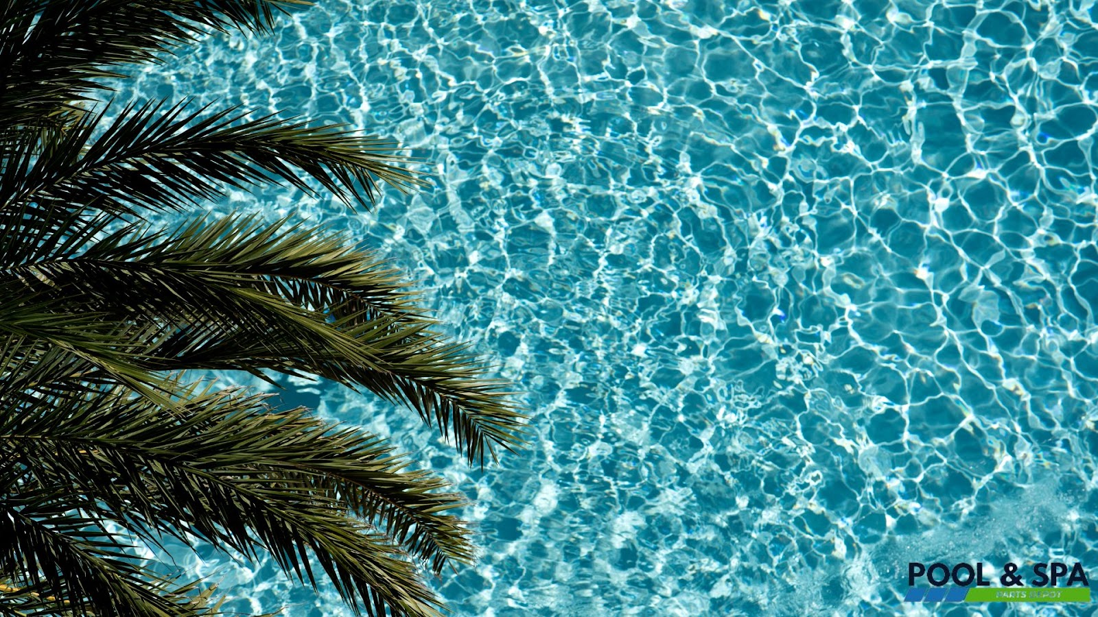 Why Trees are Important around Pools