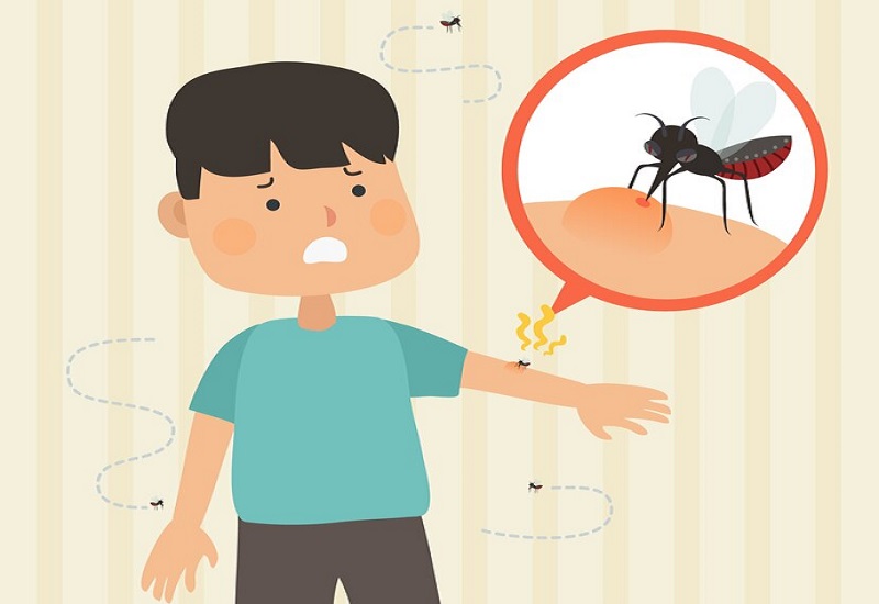 Sốt xuất huyết là do virus Dengue gây ra thông qua vết đốt của loài muỗi vằn