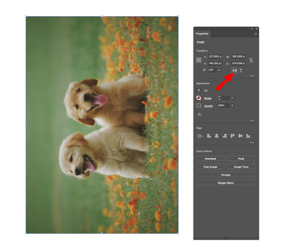 Flip-an-Image-in-Adobe-Illustrator