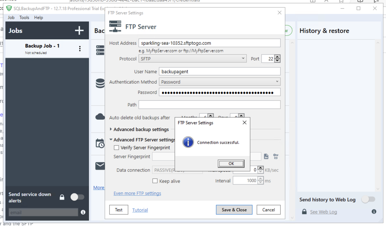 A popup indicates success via the SQLBackupAndFTP Job tab destination server settings