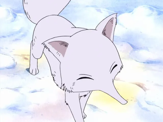 Su in One Piece.