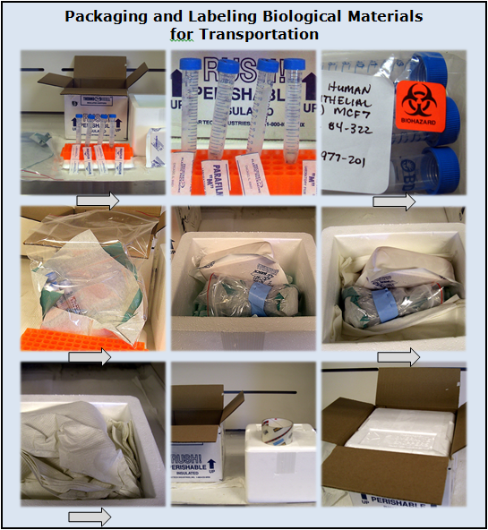 Text Box: Packaging and Labeling Biological Materials for Transportation