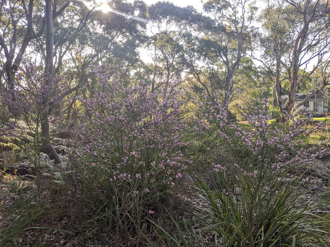 Woorarra Lookout Reserve