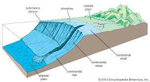 ABYSSAL PLAIN