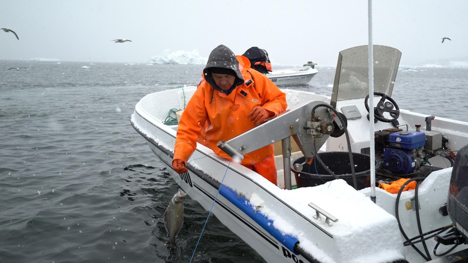 Weather influences walleye fish activity