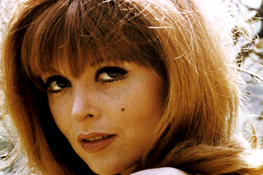 Tina Louise Net Worth, Biography, Height, Career, Age, And More Glamour Tomorrow