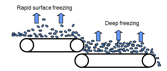 The working principle of a Fluidized Bed IQF Freezer