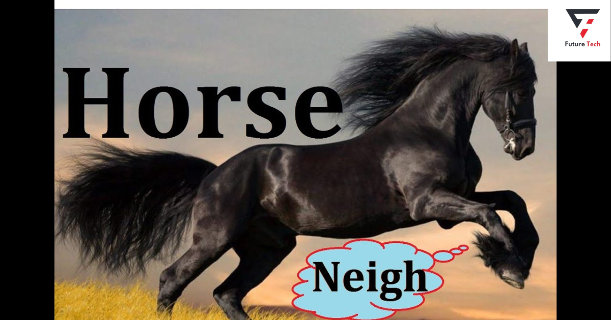 horse neigh