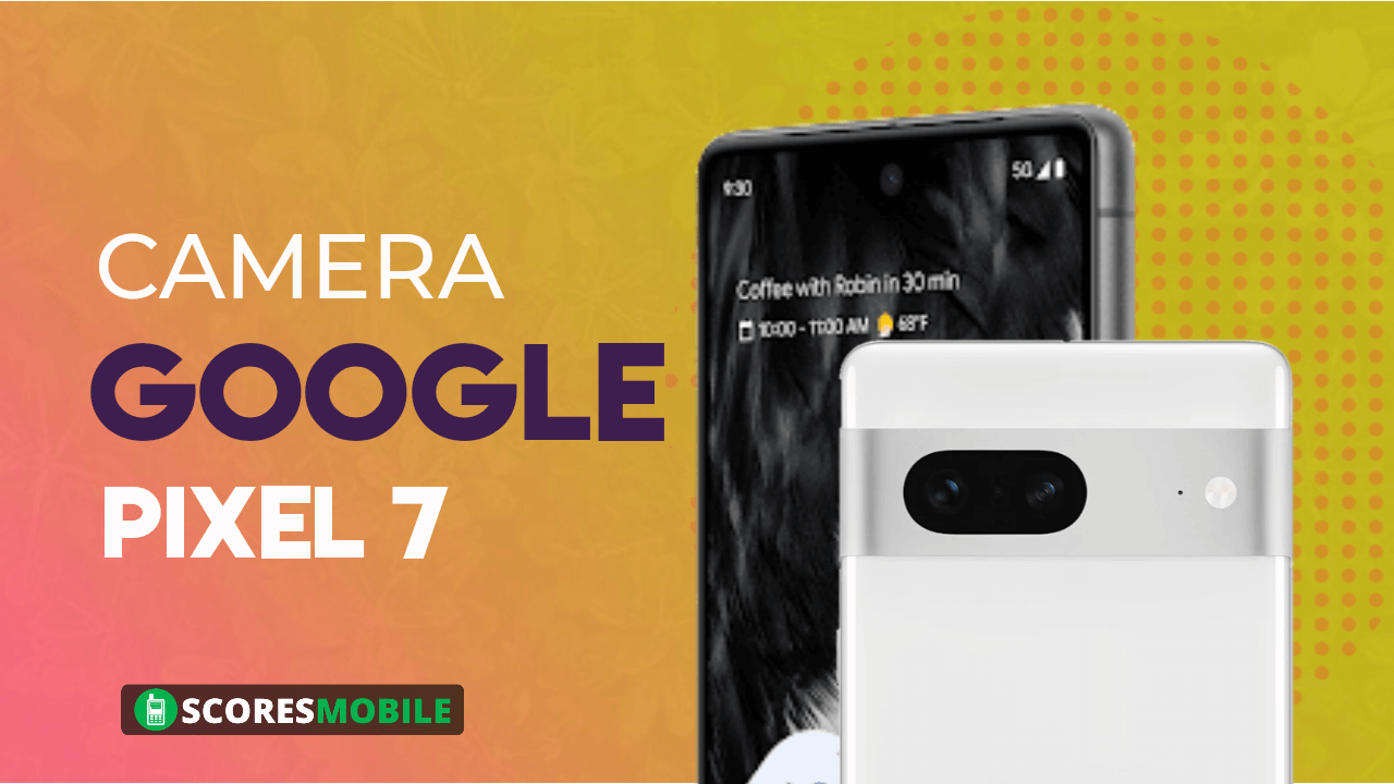 Google Pixel 7 Camera