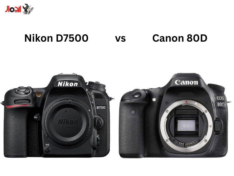 تصویر مقایسه کانن 80D و نیکون D7500