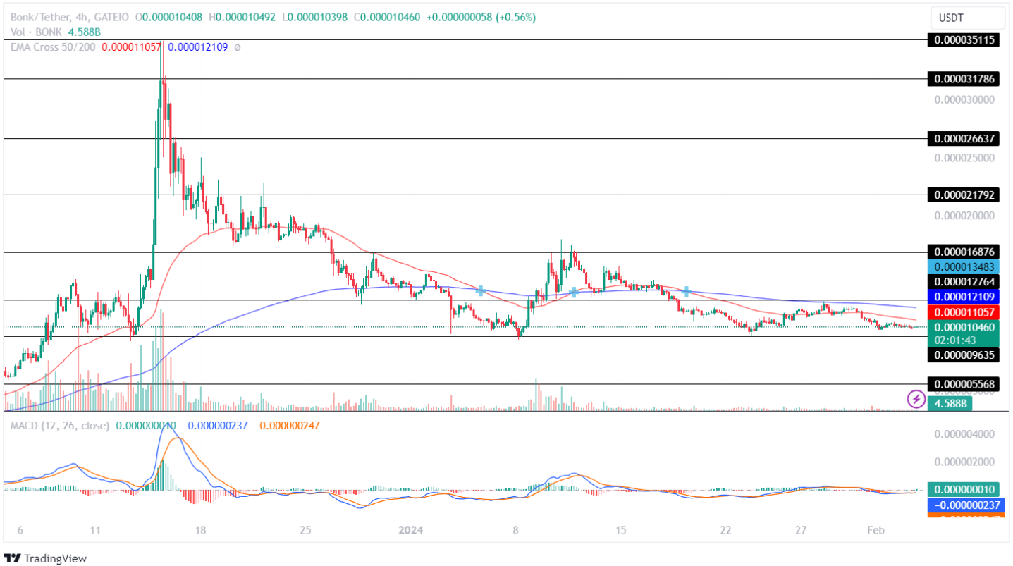 BONK Price Analysis