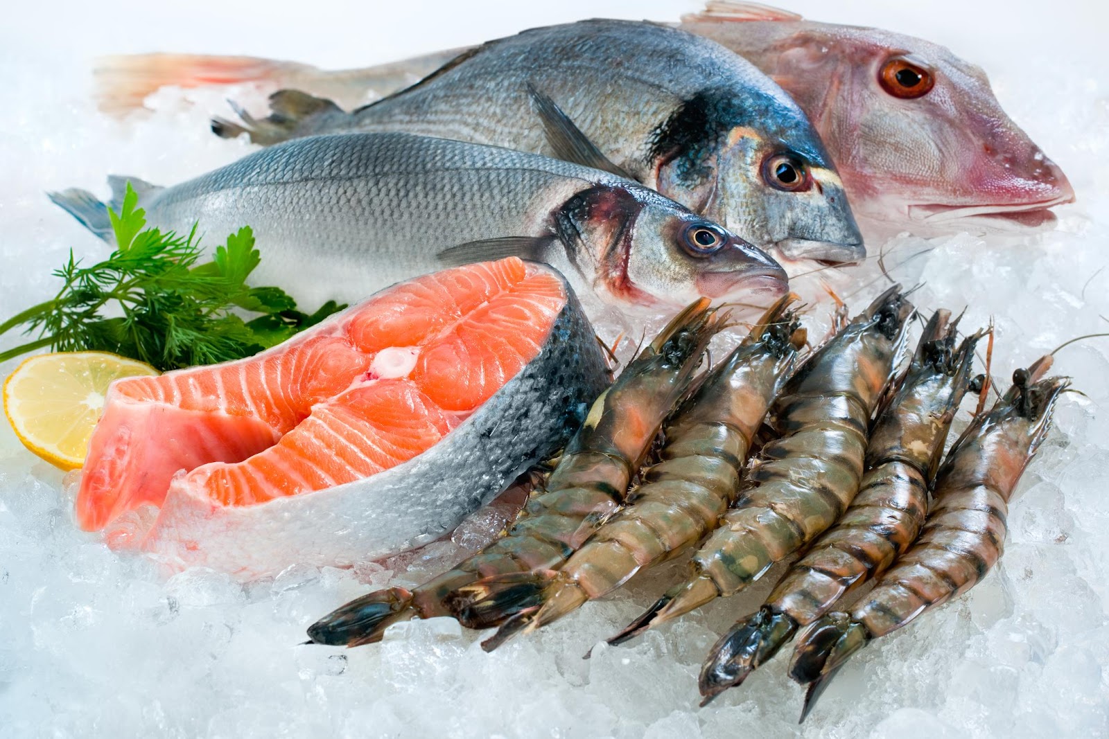 A group of fish and shrimp on ice

Description automatically generated