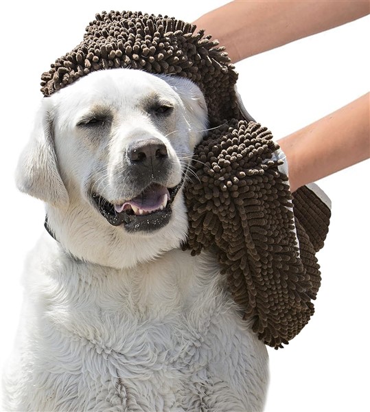Does a dog paw yeast infection soak help or hurt 