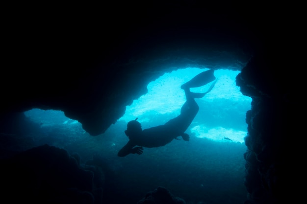 Dive Into Dramatic Brilliance
