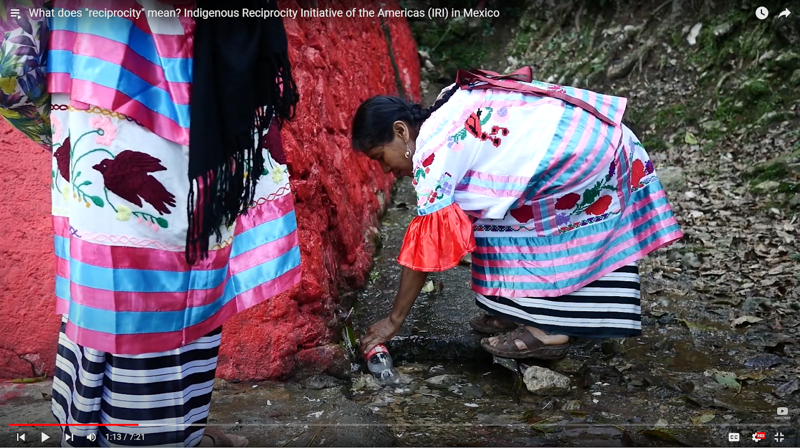 A middle-aged Indigenous woman in traditional Mazatec dress, with blue and purple strips and intricate embroidery depicting birds and flowers, stoops to gather water from a spring using an empty Coke bottle.