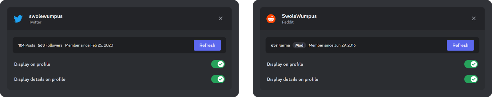 Examples of Twitter and Reddit connections in Discord