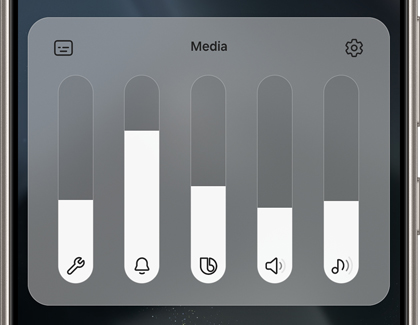 Volume Menu