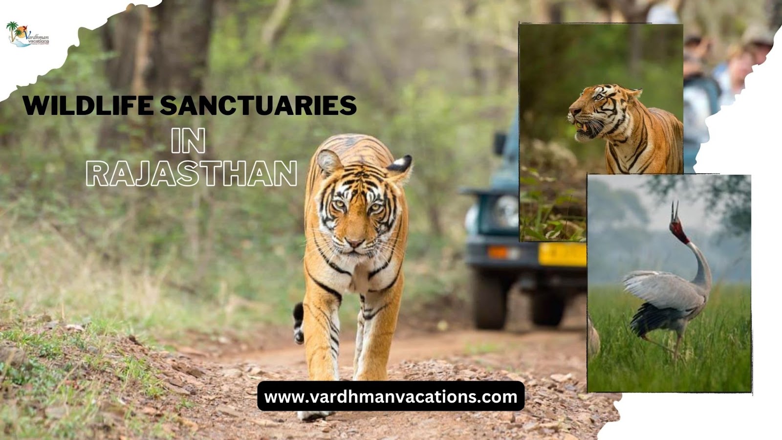 Wildlife sanctuaries in Rajasthan