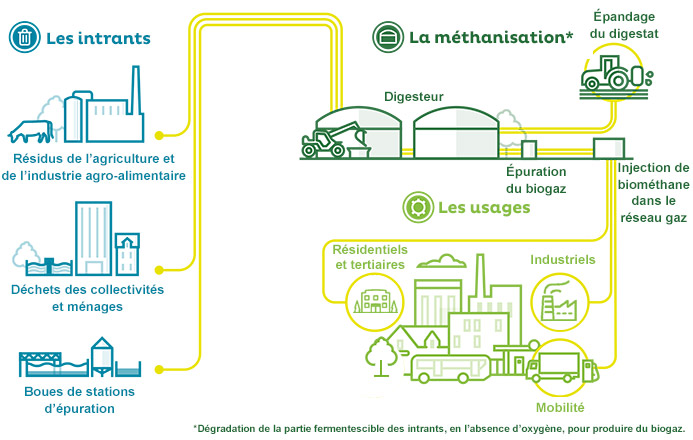 Quelle est la différence entre le biogaz et le biométhane ?