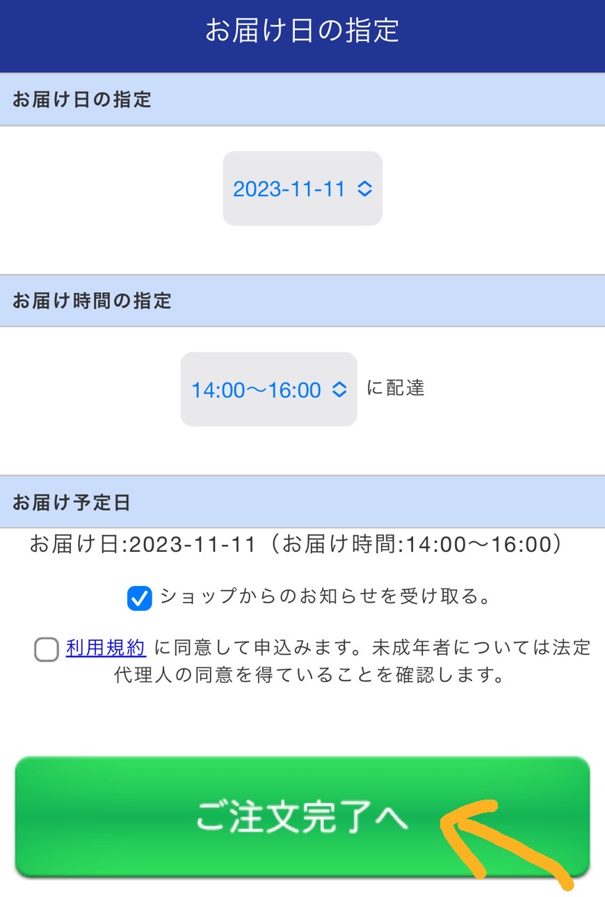 体験談～ホームストラッシュの脱毛効果や使い方は？VIOも使える？真相