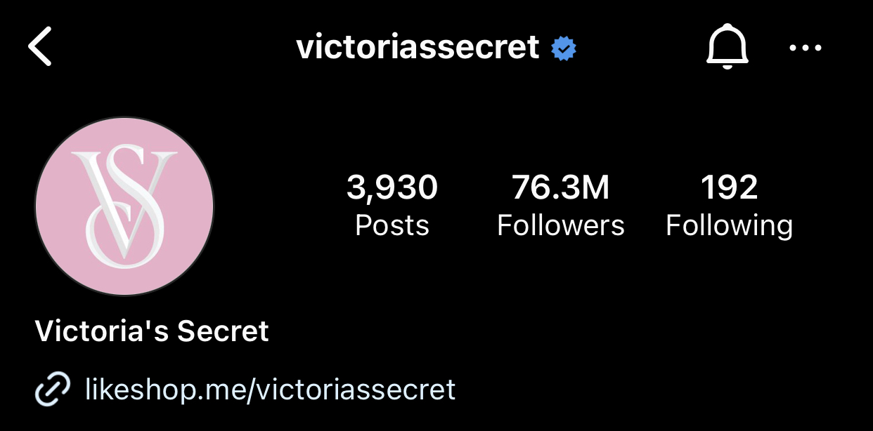 Victoria's Secret’s bio is straightforward and only includes a link to their website.