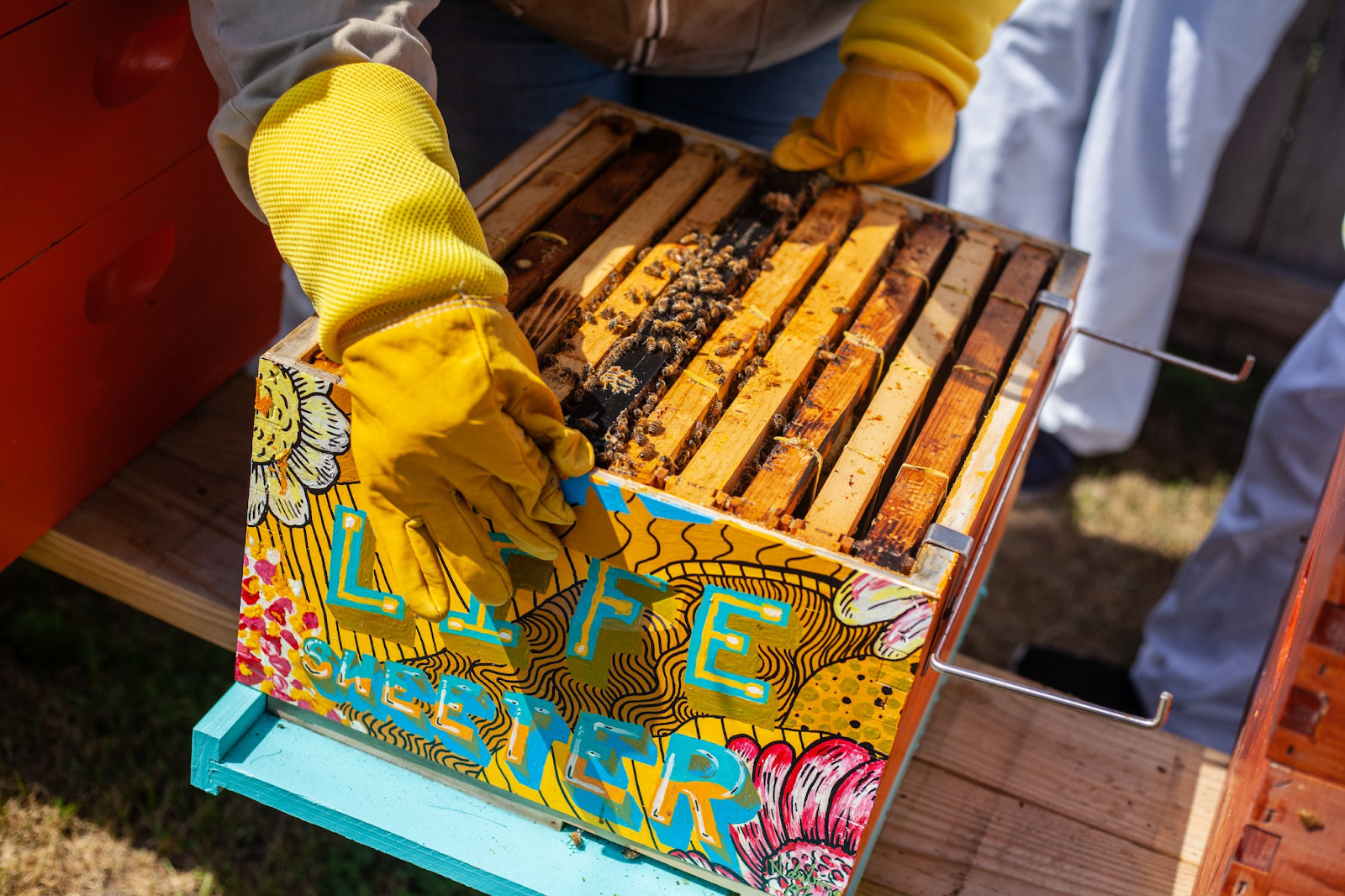 Beekeeping as a Venture image