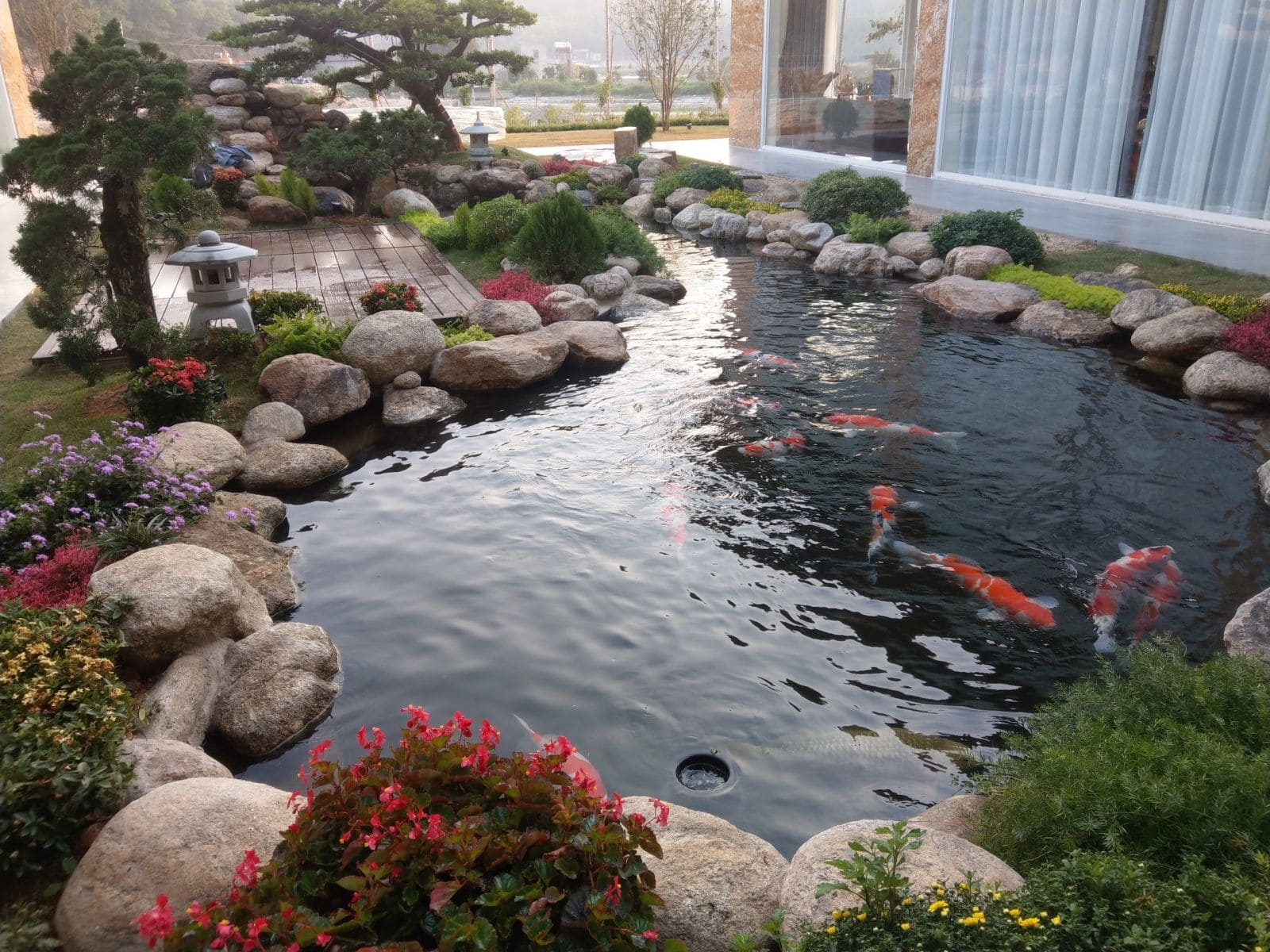 Thi công hồ cá koi - Giải pháp tạo không gian xanh cho ngôi nhà của bạn