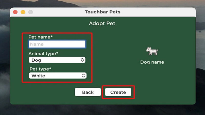 Adopting a new pet and click Create